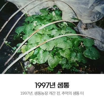 배너 01