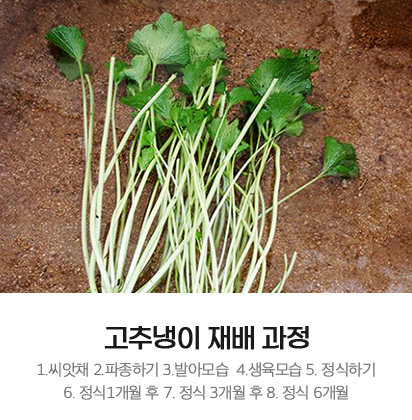 배너 02